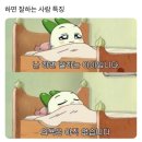 영구언니 이미지