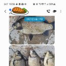 신원대로-9 이미지