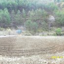 선유동1로 이미지