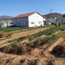 상일축사 이미지