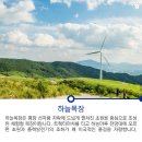 주말을 부탁해! - 포근한 숲 속 걸음 걸음 평창 가족여행 이미지