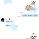 팔팔도새기 | 2025 제주 아카이빙 1편 🍊