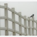 동산목장 이미지