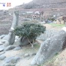 문성인쇄사