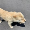 마영주유소 이미지