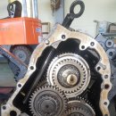 제일밋숀 이미지