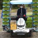 거창읍-1 이미지