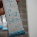 도그조아 이미지