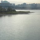 밤섬