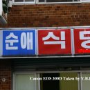 순애식당 이미지