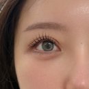 황곡초등학교 | 영통 속눈썹 잘하는 비바수뷰티, 펌포인트 연장 후기