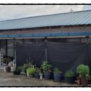 약목삼성의원 이미지