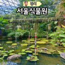 의암스카이워크 간이쉼터 | 공원과 식물원이 결합된 마곡 서울식물원 전시 체험 프로그램
