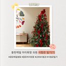 [시험관일기-1] 동탄제일아이희망 시험관 초진~난자채취까지 (유승연원장님♥)