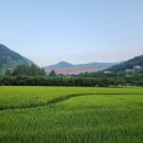 새벽별펜션 이미지