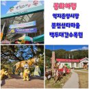 춘양오일시장 | 경북 봉화 가볼만한곳 분천 산타마을, 백두대간수목원, 억지춘양시장 여행코스