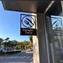 에듀시티로 | 제주 현지인이 추천한 서귀포 타코 맛집, 뱅인타코 제주본점 방문 후기｜위치·주차·실물 메뉴