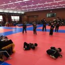 명문합기도 이미지