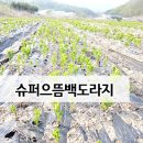 으뜸농장 1 이미지