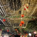 강서로 47길 | 다가오는 🎄