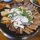 노고록이 | 더 시즌즈 <10cm의 쓰담쓰담> 방청 후기 (여의도 KBS 신관 공개홀 2026.01.23. 방영분)