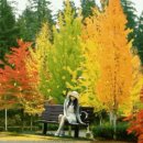 벤치(BENCH) 이미지