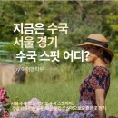 초장농업기술원 삼거리 | 서울 수국 명소 서울숲 수국 외 서울 경기도 수국 스팟 9선