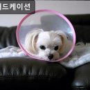 마루애드케이션