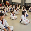 용인대하늘빛태권도장 네이버블로그
