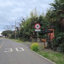 제주도예촌 이미지