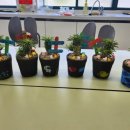 반려식물 원예화분 공예 이미지