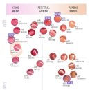 나의 퍼스널은? 파우치진단까지 이미지