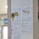 김해 대동면 BK(비케이)승마장 체험 후기