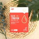 비유비(BUB) 일간투데이