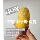 [논산 나나팜 고구마]_고구마계의 명품_에프 고구마 굽는방법