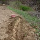 통큰집슈퍼 이미지