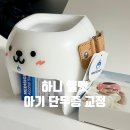 한헬스케어 | 아기 단두증 두상교정 한헬스케어 하니헬멧 착용 후기(추천인 가능!)