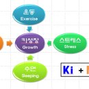 키네코어 이미지