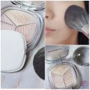 스테이 모량 | 올리브영 파우더 추천 웨이크메이크 스테이픽서 멀티 컬러 파우더 내돈내산 후기