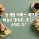 꽃드림 | 꽃배달 서비스 비교표