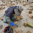 몽산포 해변 | 태안 몽산포 야영장 캠핑과 해루질(feat. 뻥설게 도전)