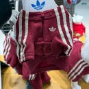 예원서점 | 다시 시작된 초 단위 스케줄 (대한민국임시정부 | 중티다스 | 우캉맨션 | 헌지우이치엔 | 예원 야경)