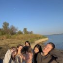 다인채널 이미지