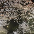 큰복닭강정