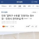 인천 '깔따구 수돗물' 진원지는 정수장…인천시 관리부실 이미지