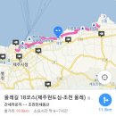 고랫물집 | 제주 올레길 18코스 걷기!