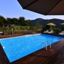 색채의 숲 이미지