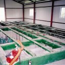 아란 농장 이미지