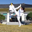 이크