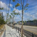 고림고등학교 이미지